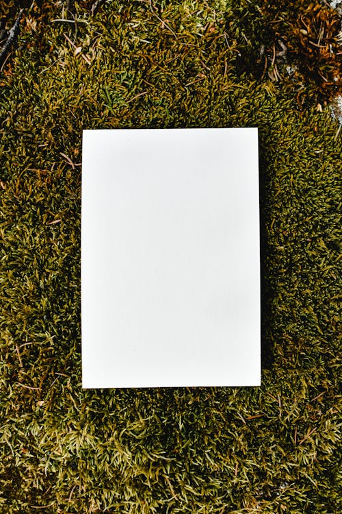 White Printer Paper on Green Grass