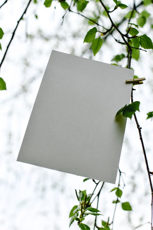 White Paper on Tree Branch