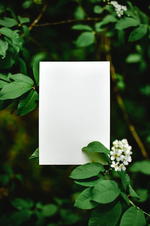White Blank Paper with Green Leaves