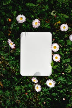A blank white paper surrounded by daisies on green foliage, ideal for copy space needs.