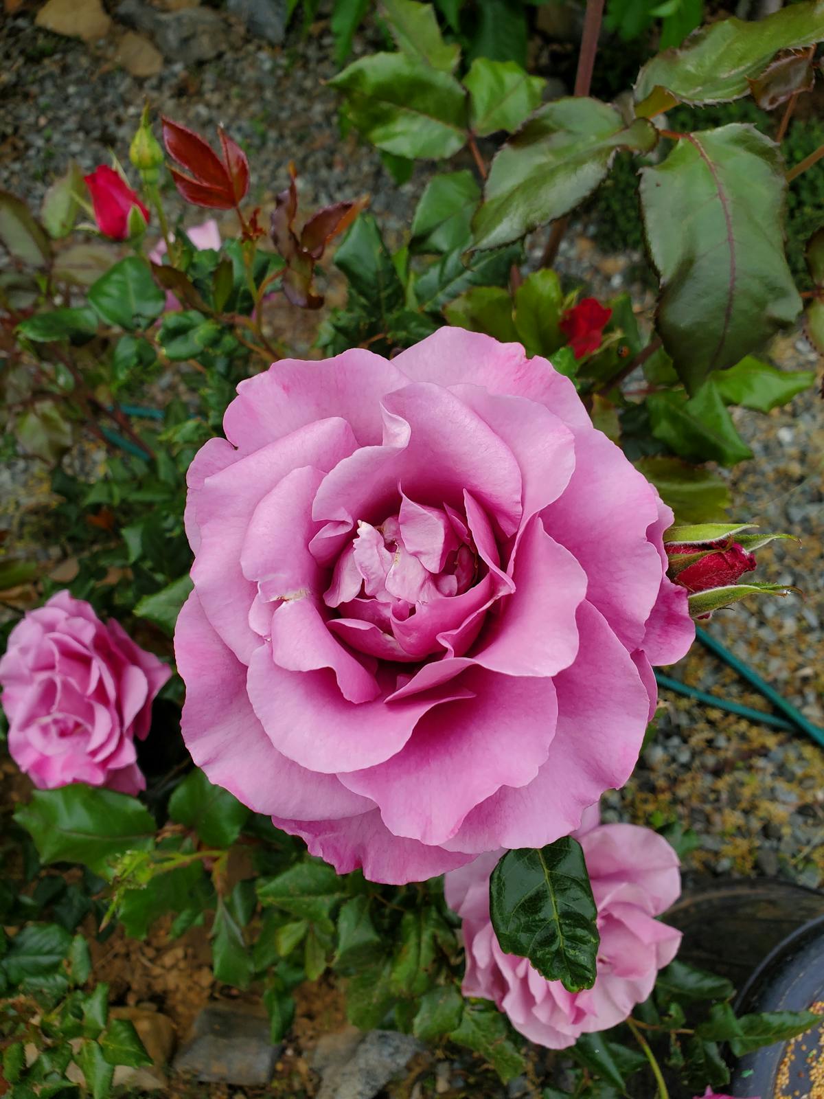 Professionnels africains collaborant sur des projets digitaux