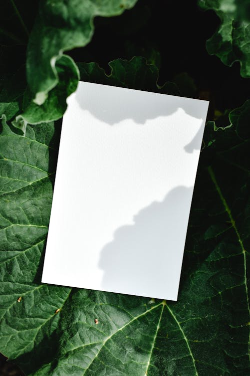 White Paper on Green Leaf