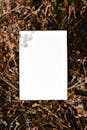 White Paper on Top of a Dried Plant