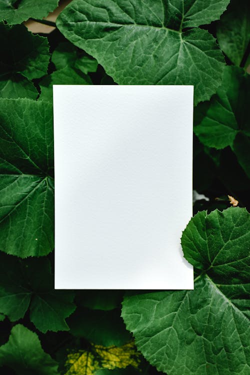 White Paper on Green Leaves