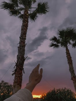 A hand reaching up towards palm trees against a dramatic sunset sky, invoking a sense of freedom.