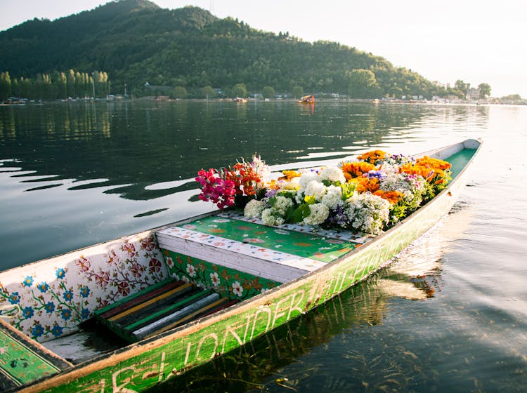 Green Wooden Boat On The Lake