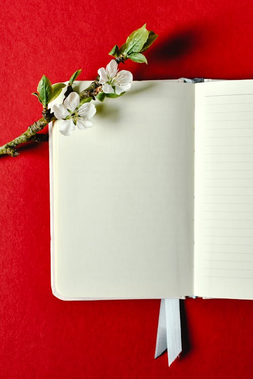 White Flowers on White Notebook