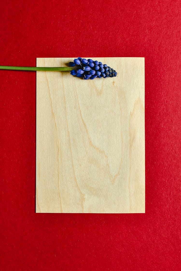 A Grape Hyacinth On A Wood Veneer