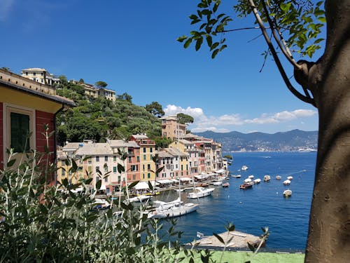 Foto stok gratis portofino