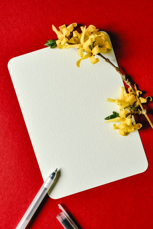 คลังภาพถ่ายฟรี ของ กระดาษสีขาว, ดอกสีเหลือง, พื้นที่วางข้อความ