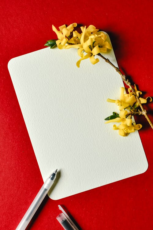 White Blank Paper on Red Background