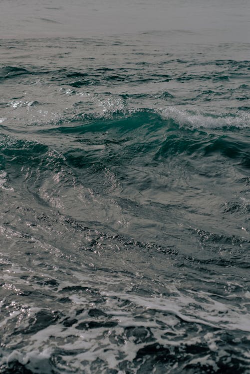 Gratis stockfoto met gebied met water, golven, oceaan
