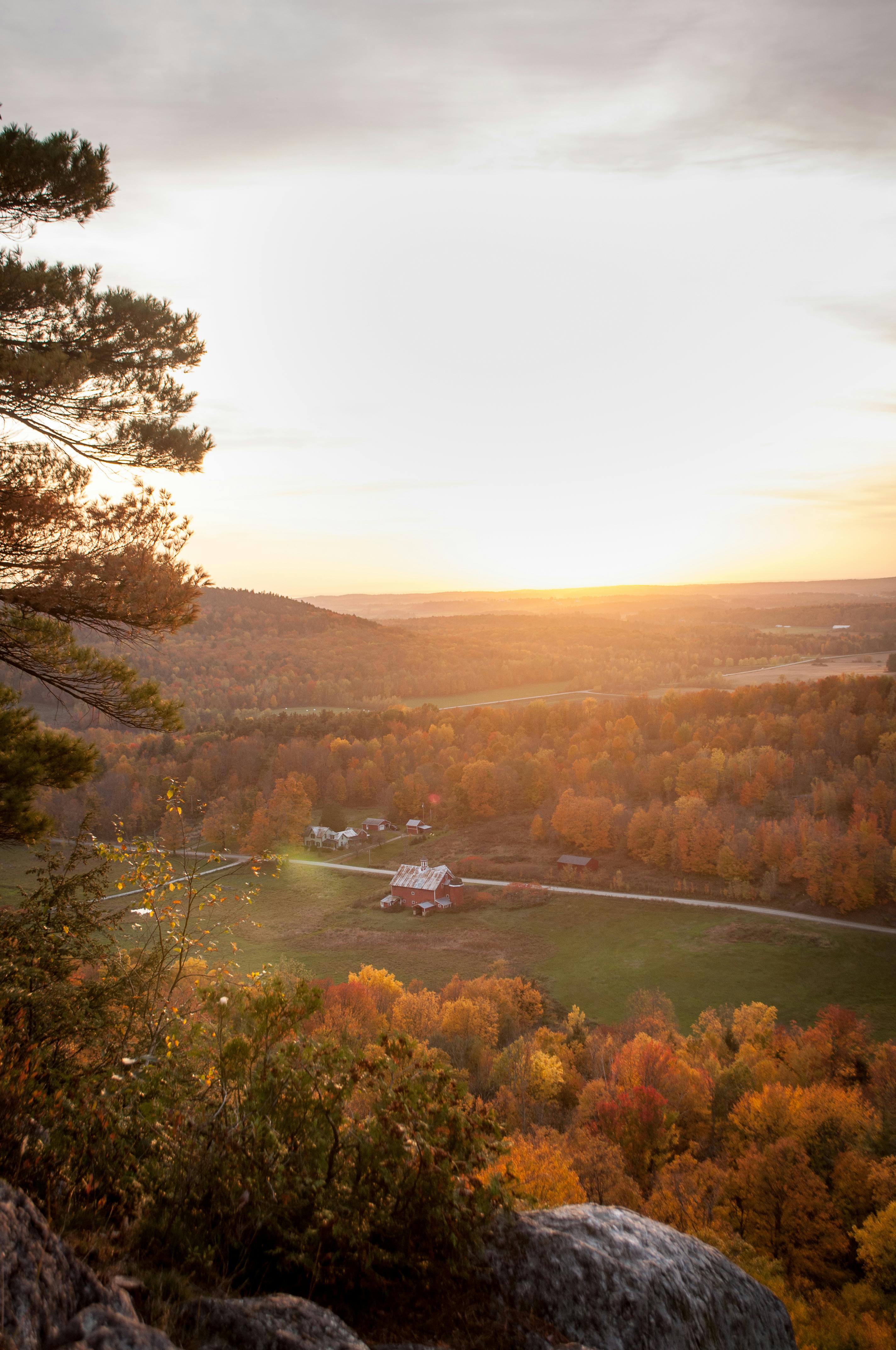 Free stock photo of adventure, burton, cold