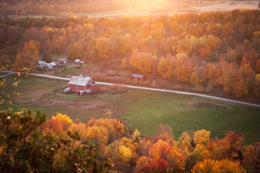High-angle shot of a rustic barn surrounded by vibrant autumn foliage in a rural landscape.