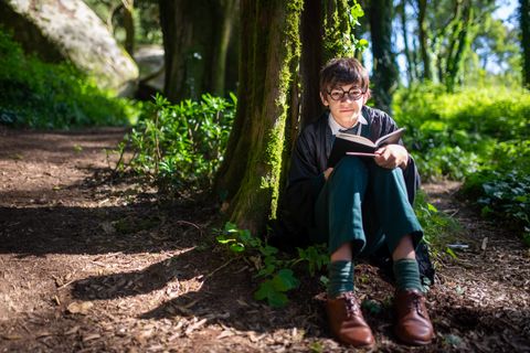 Artwork for The Magic of Imagination: Roxie Fiste on Writing Picture Books That Spark Wonder