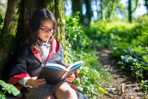 Free A young girl role-plays as a wizard reading in a sunlit forest. Bright and conceptually engaging. Stock Photo