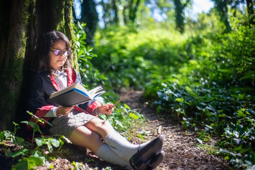 Free A young girl reads in a sunlit forest, leaning against a tree trunk, surrounded by greenery. Stock Photo