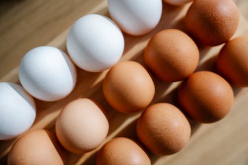 계란, 단백질, 위에서 내려다 본의 무료 스톡 사진