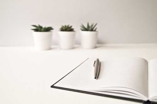 Free Clean and simple workspace featuring an open notebook, pen, and potted succulents. Stock Photo