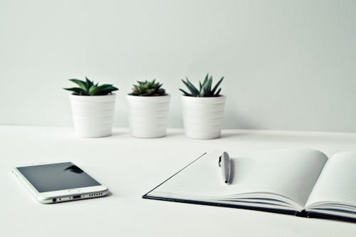 Drie Witte Keramische Potten Met Groene Bladplanten In De Buurt Van Open Notebook Met Klikpen Bovenop