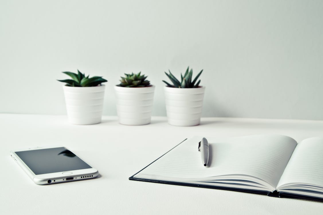 Free Three White Ceramic Pots With Green Leaf Plants Near Open Notebook With Click Pen on Top Stock Photo