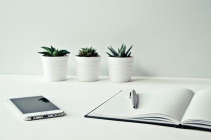 An open notebook and pen on a pale desk with small plants — photo by Ylanite Koppens on Pexels