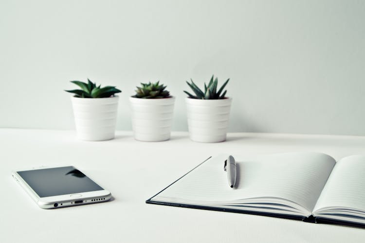 Three White Ceramic Pots With Green Leaf Plants Near Open Notebook With Click Pen On Top