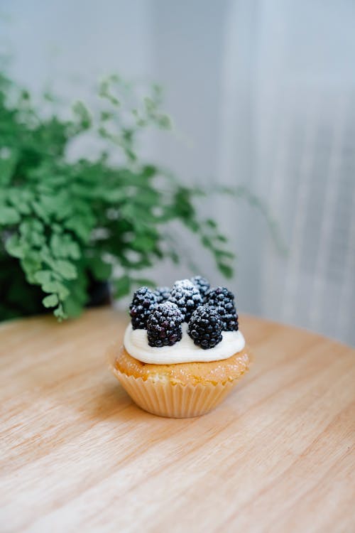 Close-Up Shot of a Blueberry Cupcake