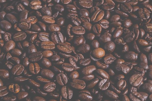 Coffee beans ready for roasting