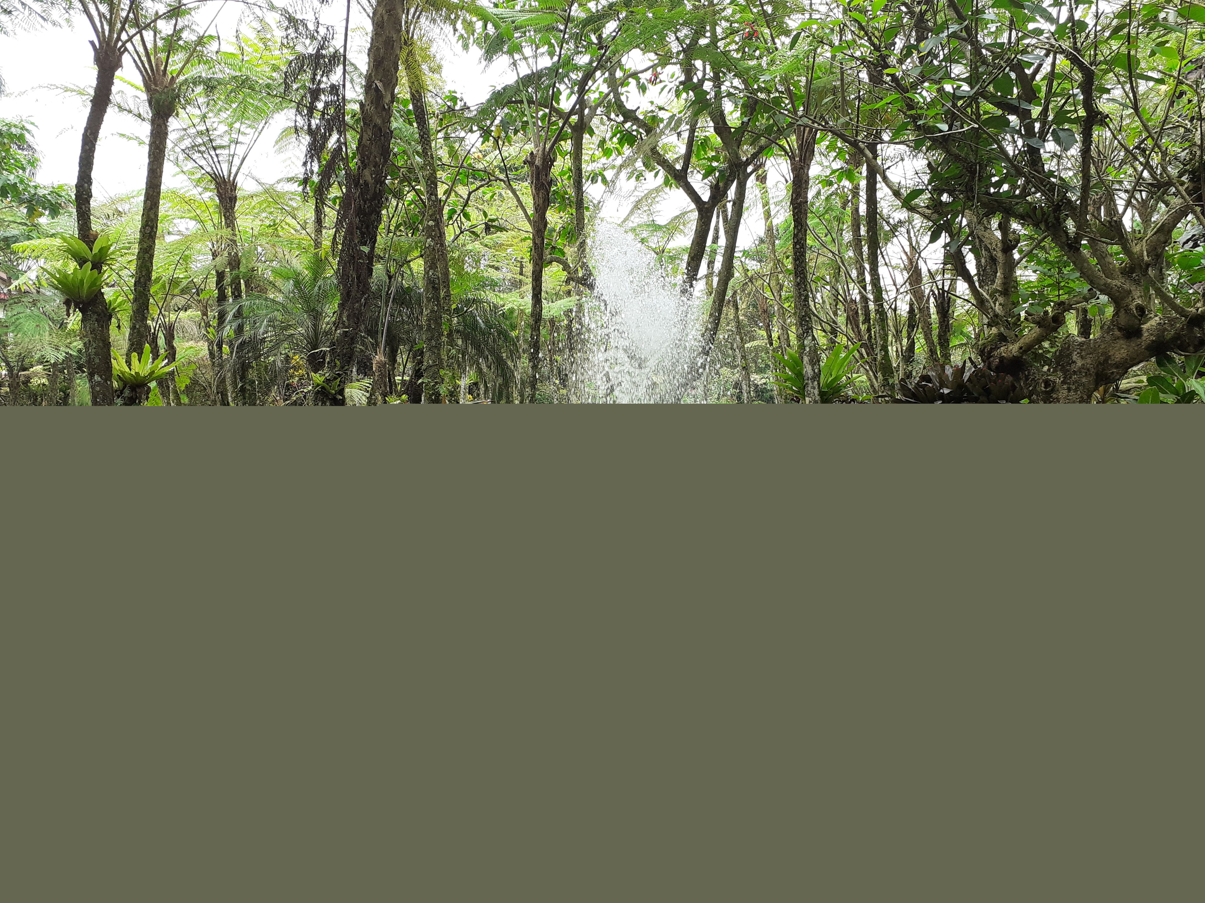 Image of a user-friendly website with high-quality images of threading services.