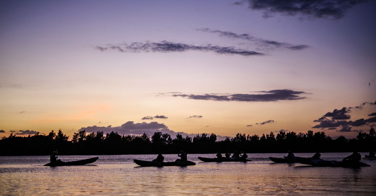 Silhouetted kayakers paddle across a calm lake at twilight, under a stunning purple and orange sky.