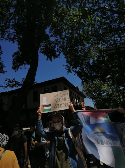 Darmowe zdjęcie z galerii z aktywiści, demonstracja, flagi