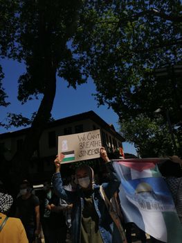 People with Flags and Posters on Street Demonstration