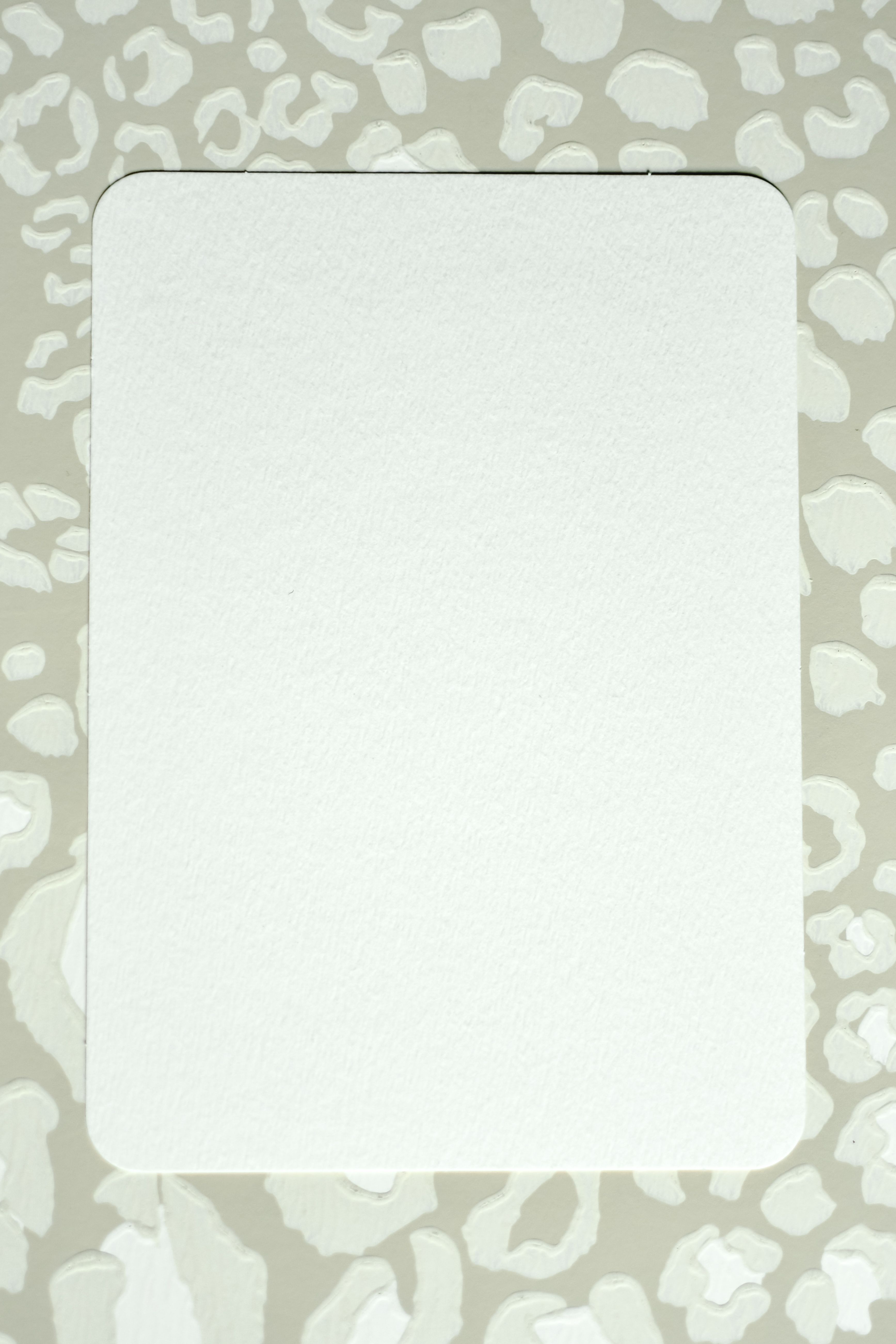 Blank Template Photos Download The Best Free Blank Template Stock