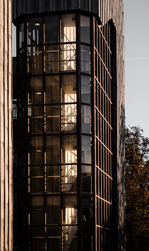 Glass Panel Windows of a Tall Building