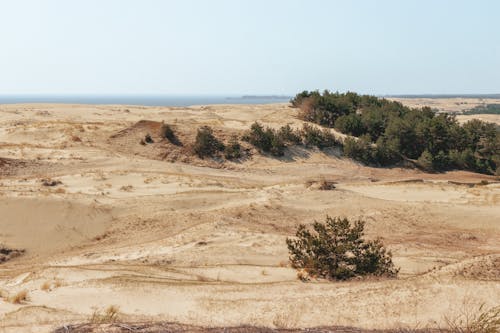 Fotobanka s bezplatnými fotkami na tému exteriéry, horizont, krajina