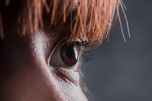 Free stock photo of baeutiful eyes, beautiful eyes, eye Stock Photo