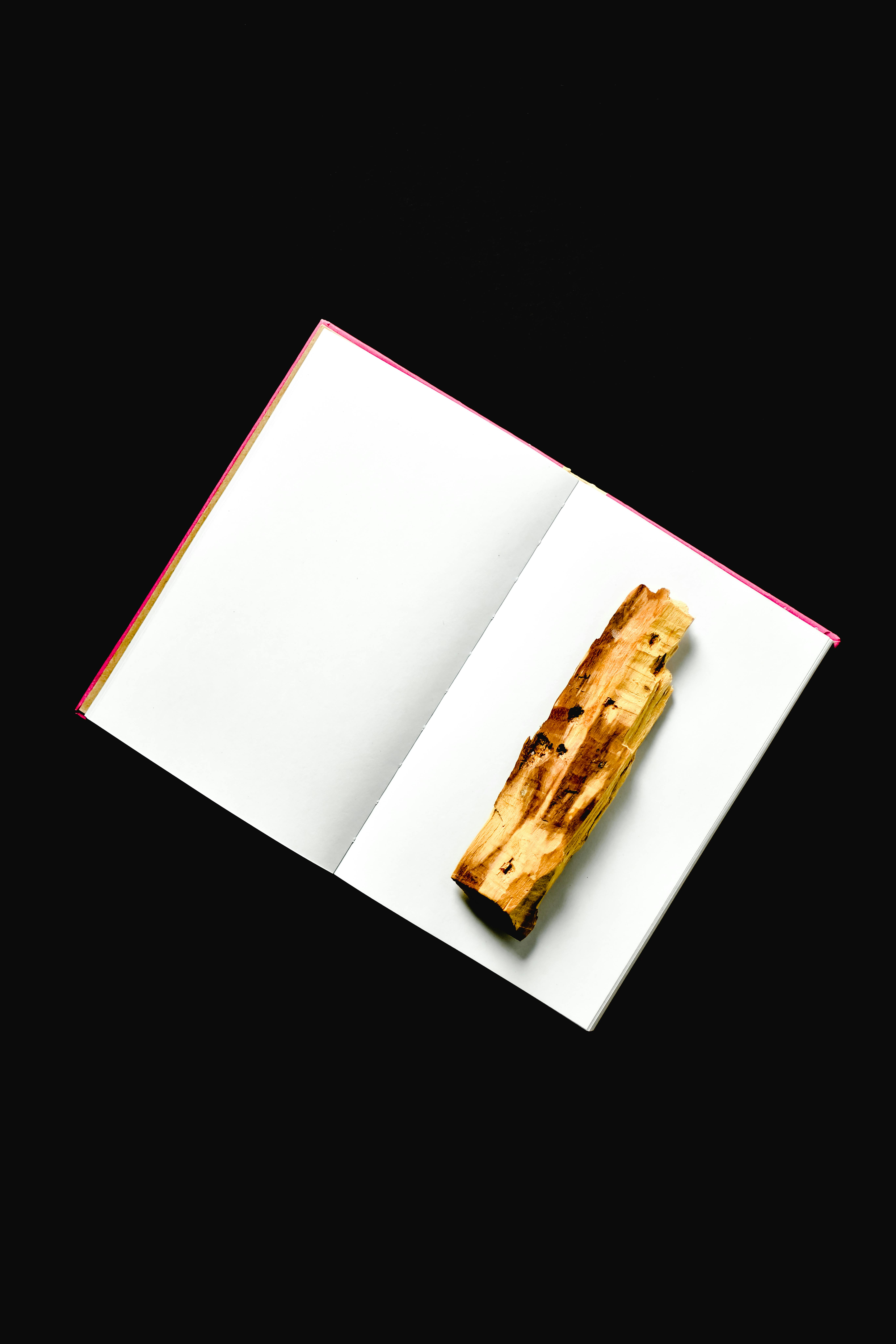 An open book with a piece of palo santo on a black background, symbolizing cleansing and energy.