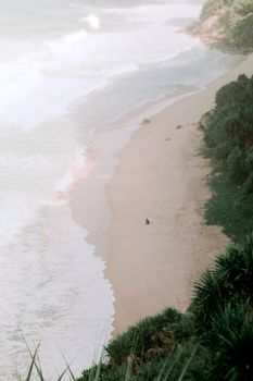 A serene beach with gentle waves, viewed from above. Lush greenery surrounds the sandy shore.