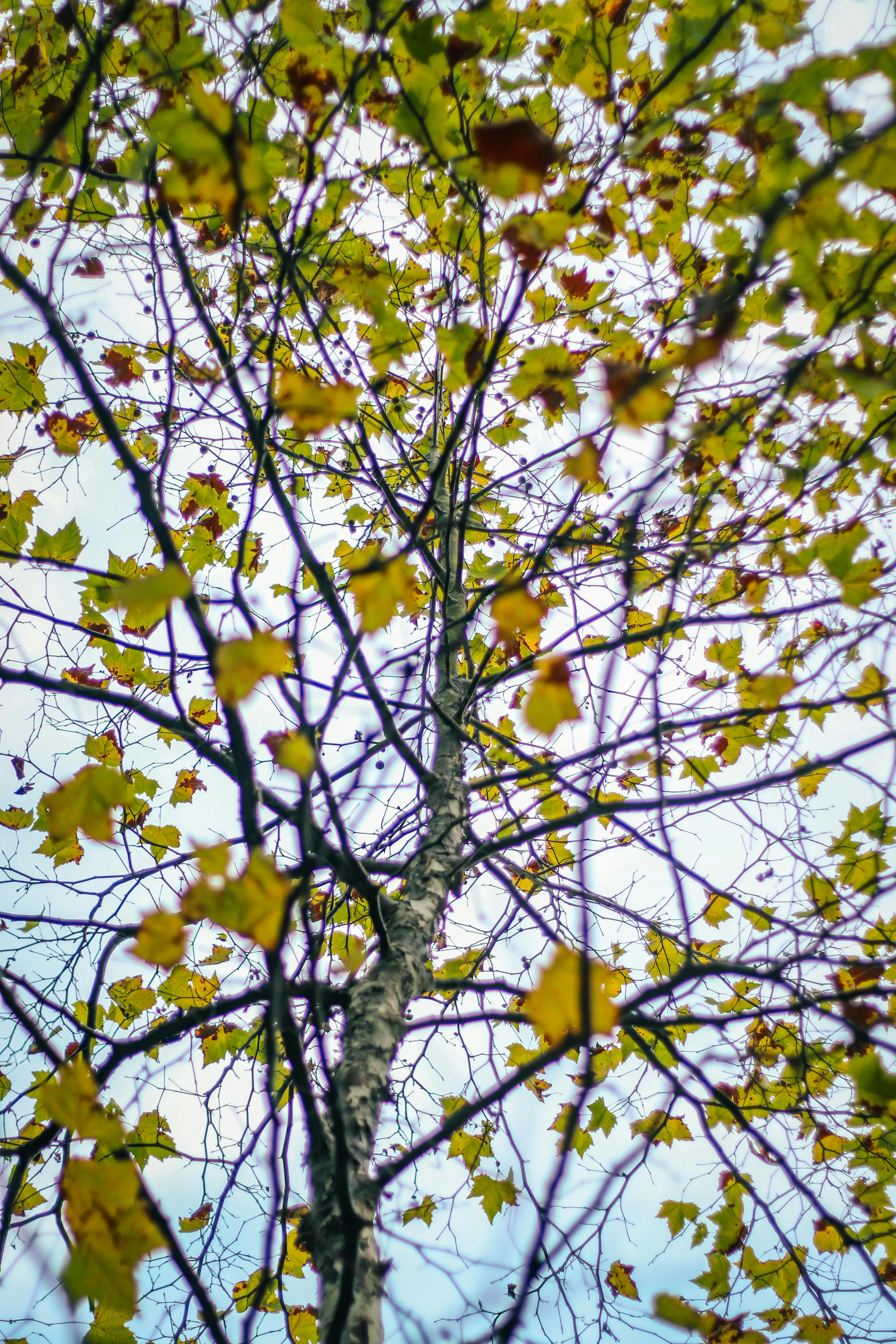 金融行业工作人员正在审核电子合同