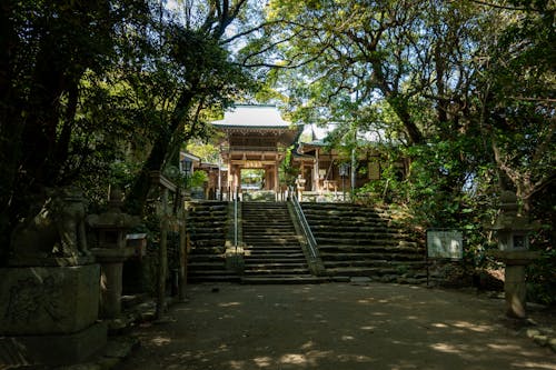 Immagine gratuita di alberi, architettura, calcestruzzo