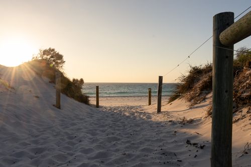 Free Tranquil pathway leading to Cottesloe Beach at sunset with soft sand and ocean view. Stock Photo