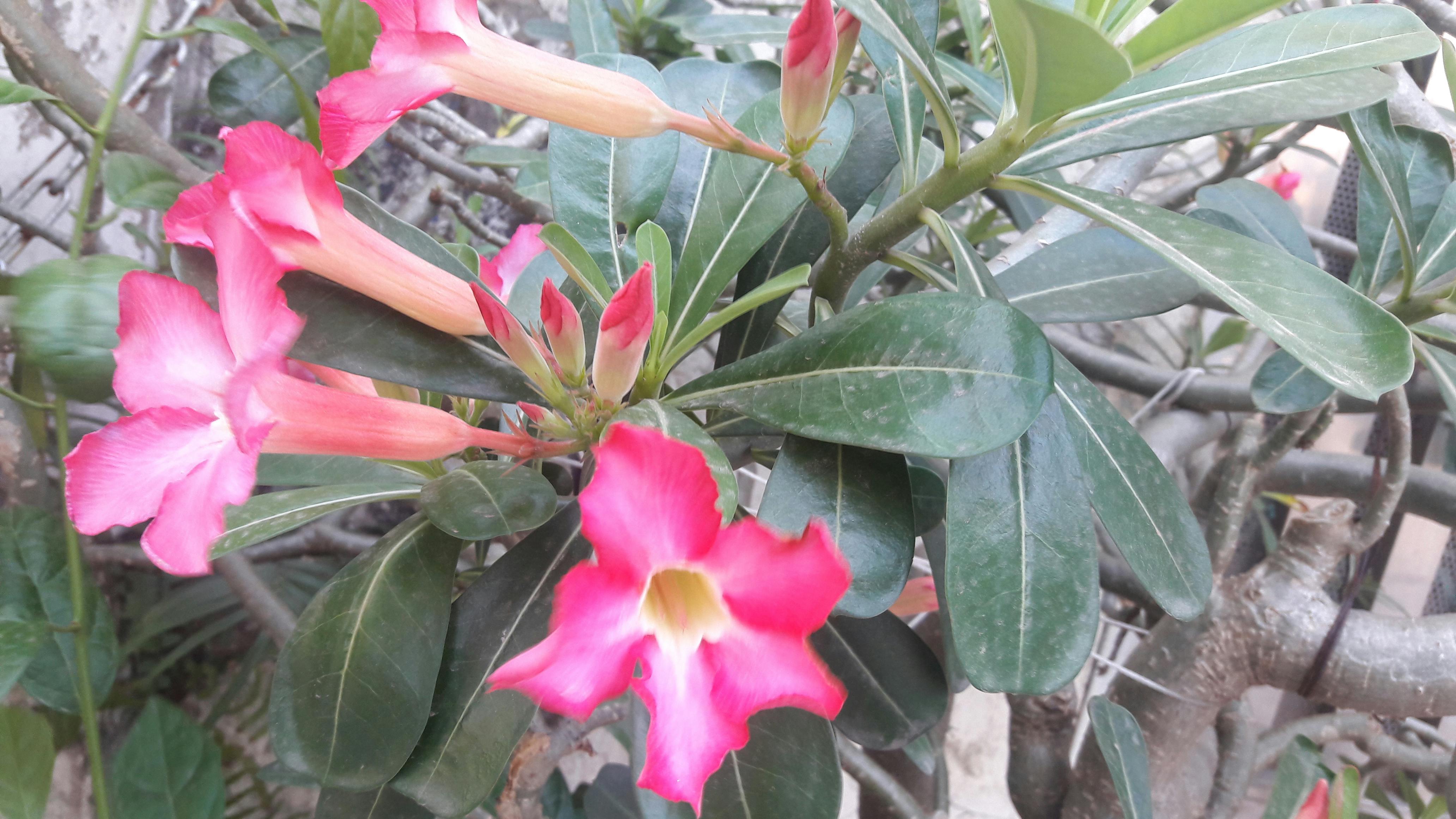 Ofis şıklığı için loafer ve kumaş pantolon kombini