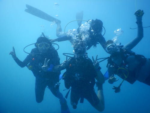 Free Group of Divers Under the Sea Stock Photo