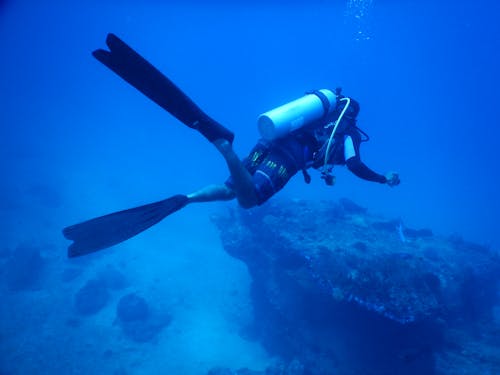 Free A Person Scuba Diving Stock Photo