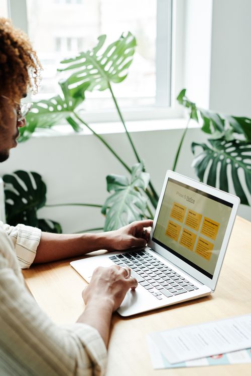 Free Person working on laptop at desk with lush plants by the window, creating a serene office environment. Stock Photo