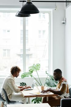 Two men working together in a modern office, laptops open, bright and airy setting.