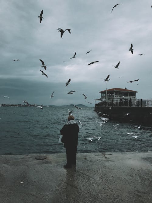Old woman standing on embankment with seagulls