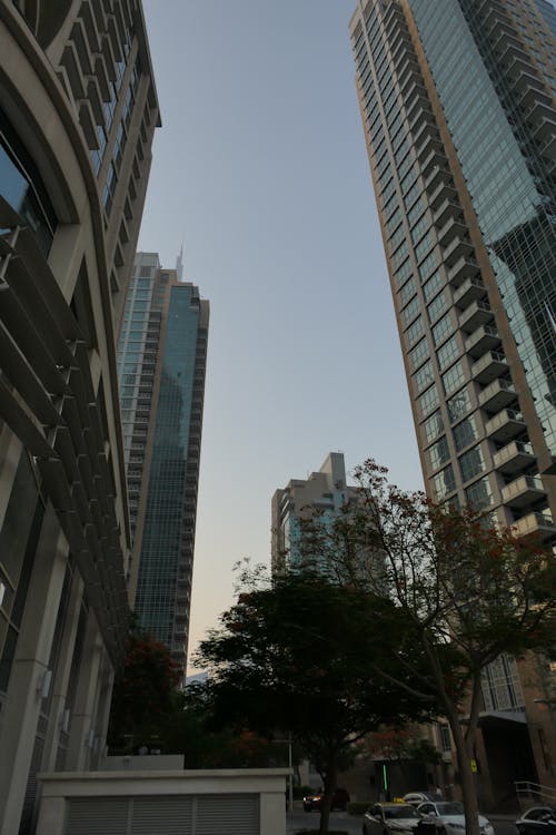 Low-Angle Shot of High-Rise Buildings