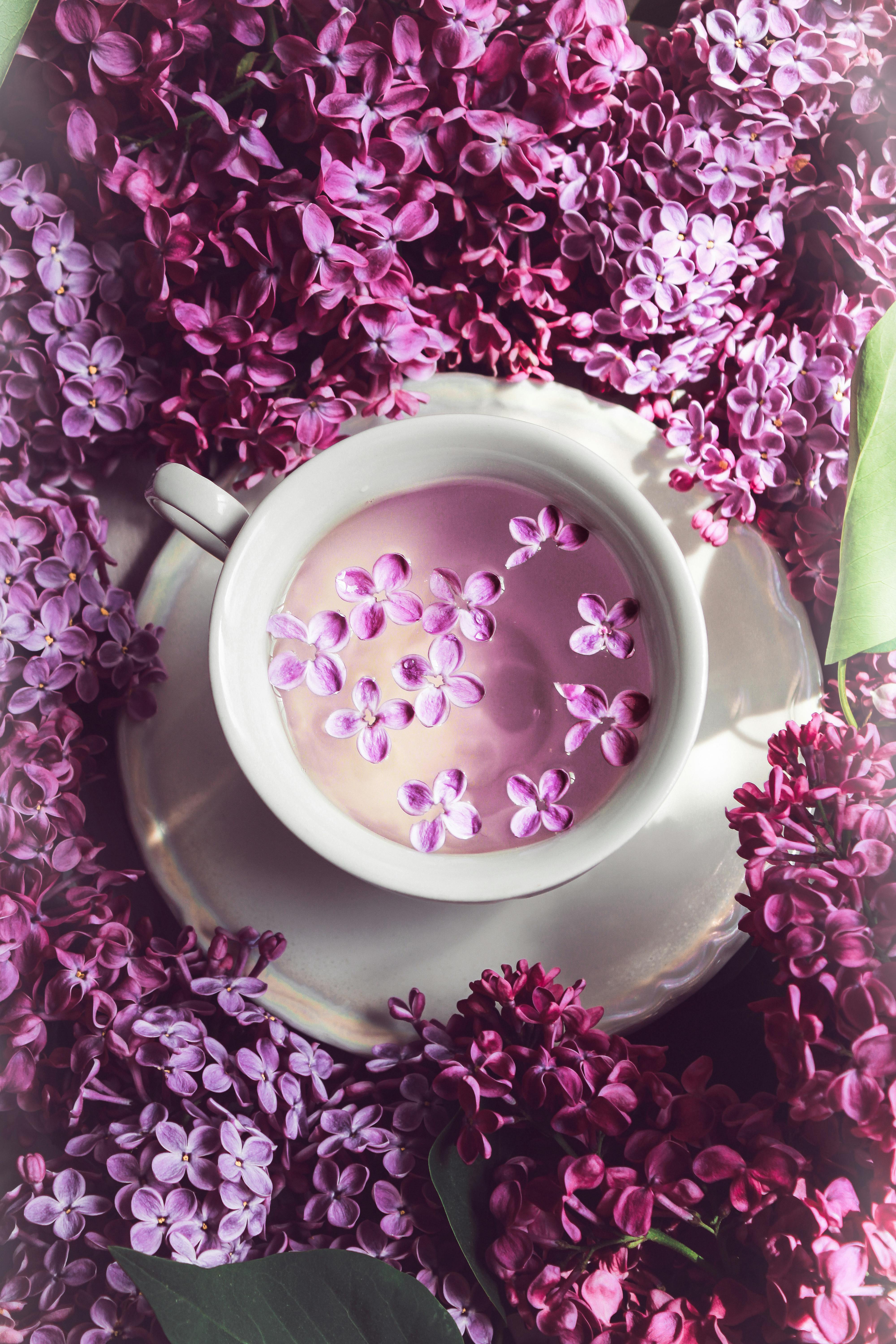 Delicate lavender flowers surround a white cup in a serene, top-down composition.